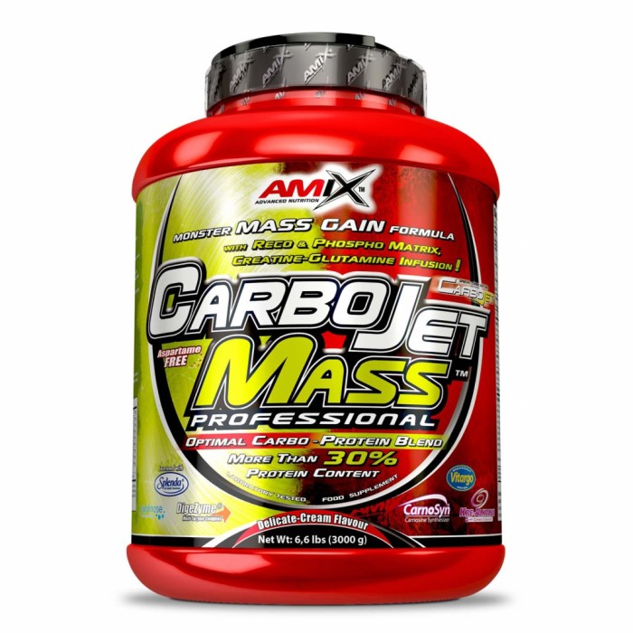 Carbojet Mass Professionnal - 3kg | Amix Nutrition