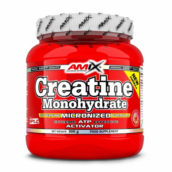 Créatine Monohydrate Micronisée - 300g | Amix Nutrition