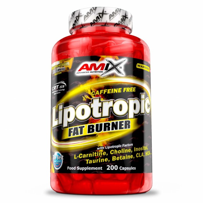 Lipotropic Fat Burner - 200 Gélules | Amix Nutrition