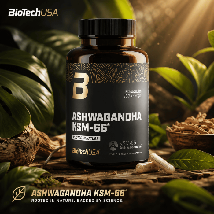 Ashwagandha KSM66 - Biotech USA