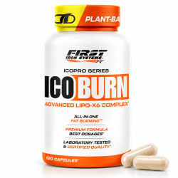 Ico Burn - First Iron Systems